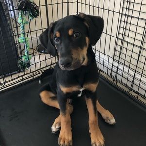 Meet your Posher, Lucia